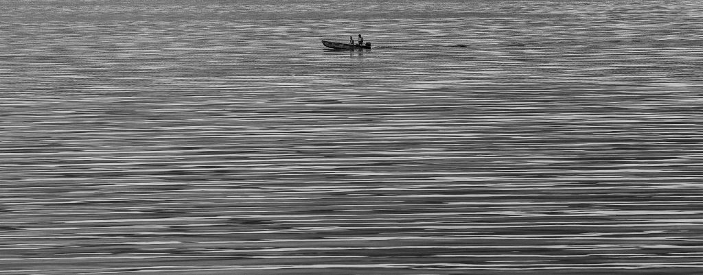AA1_4339-1 bw