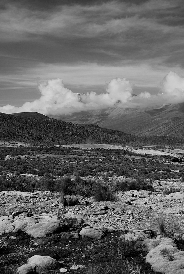 _CAA8043-1