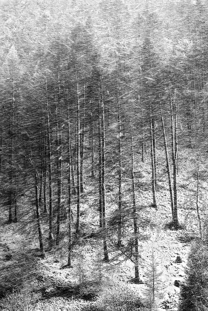 _CAA9975-1000