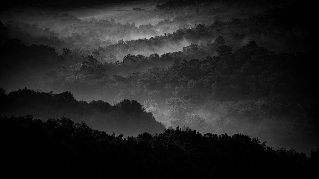 _RA14351-bw 240