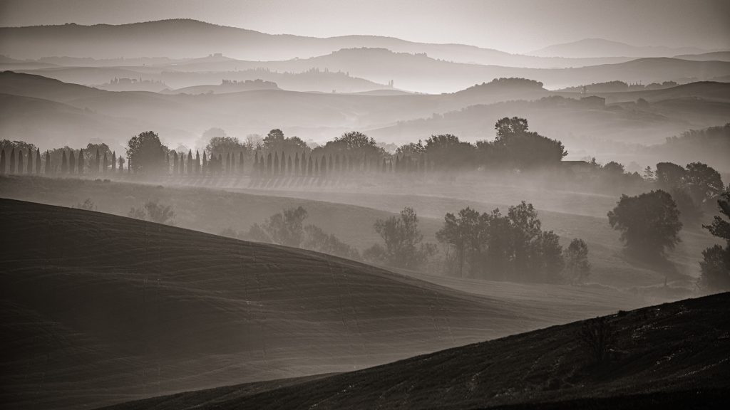_RA15331-bw 240
