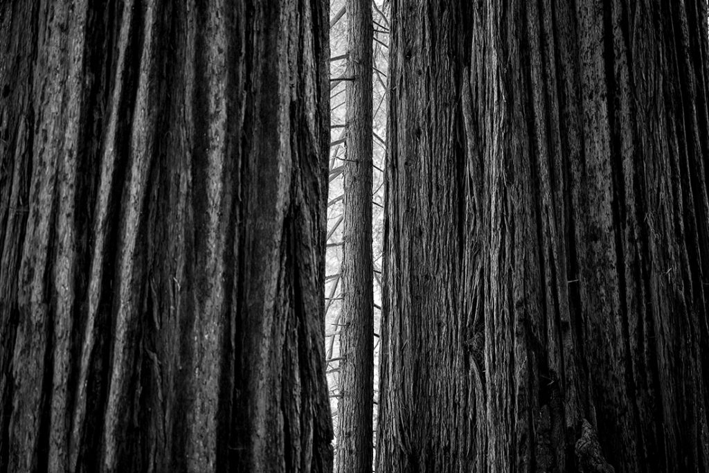 L1020752-bw Kopie