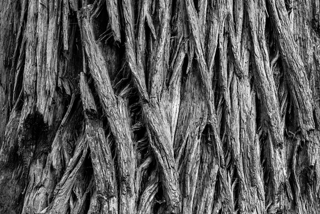 L1020976-bw 72. 1100