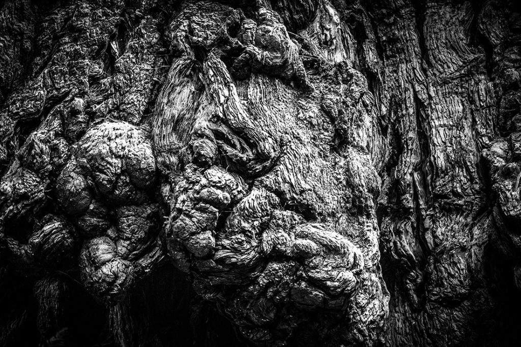 L1020985-bw 72 1100