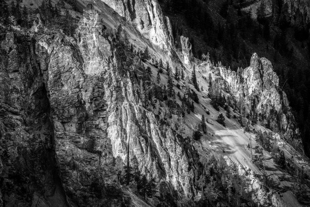 L1000378-web 2560