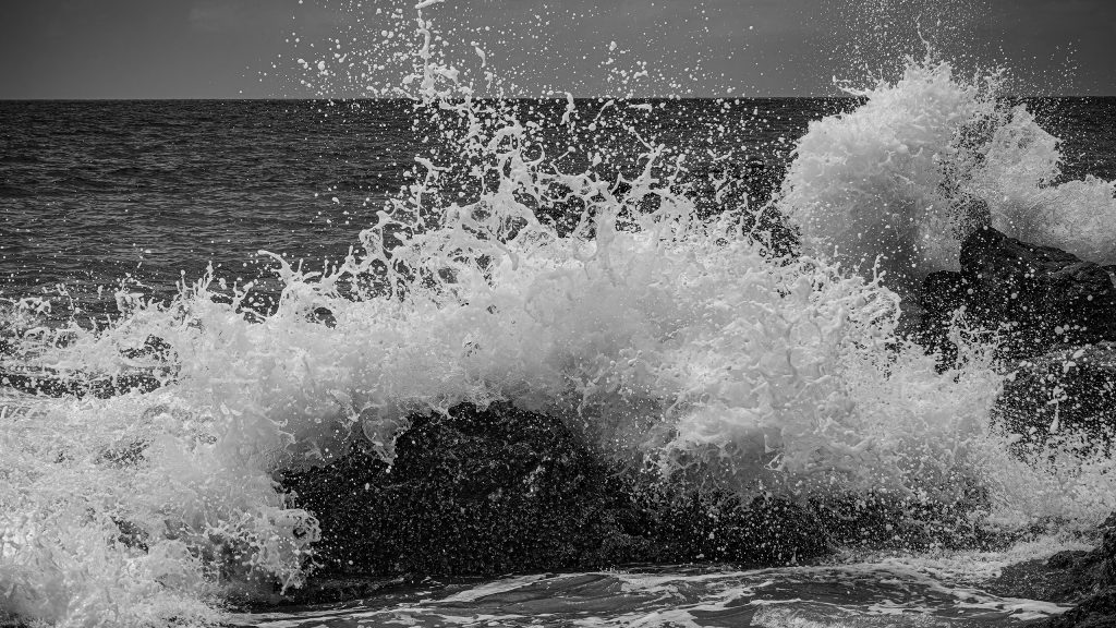 UC1_1681-sw DxO_DeepPRIME XD3-Edit