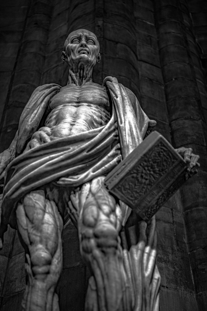 _RA13026-bw 240