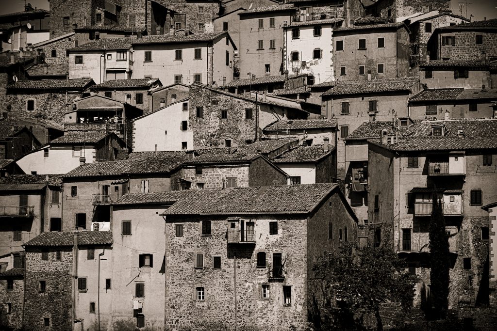 _RA15591-bw 240