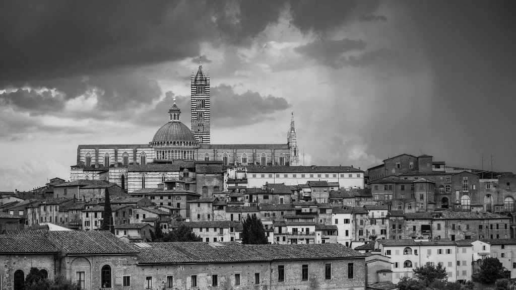 _RA14972-2-medio
