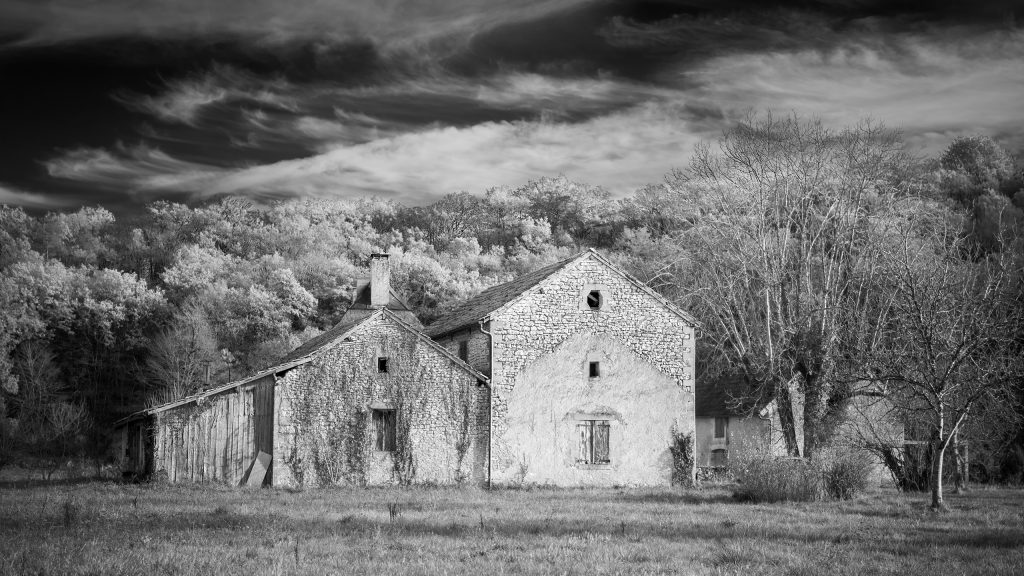 _RA29763-1-bw