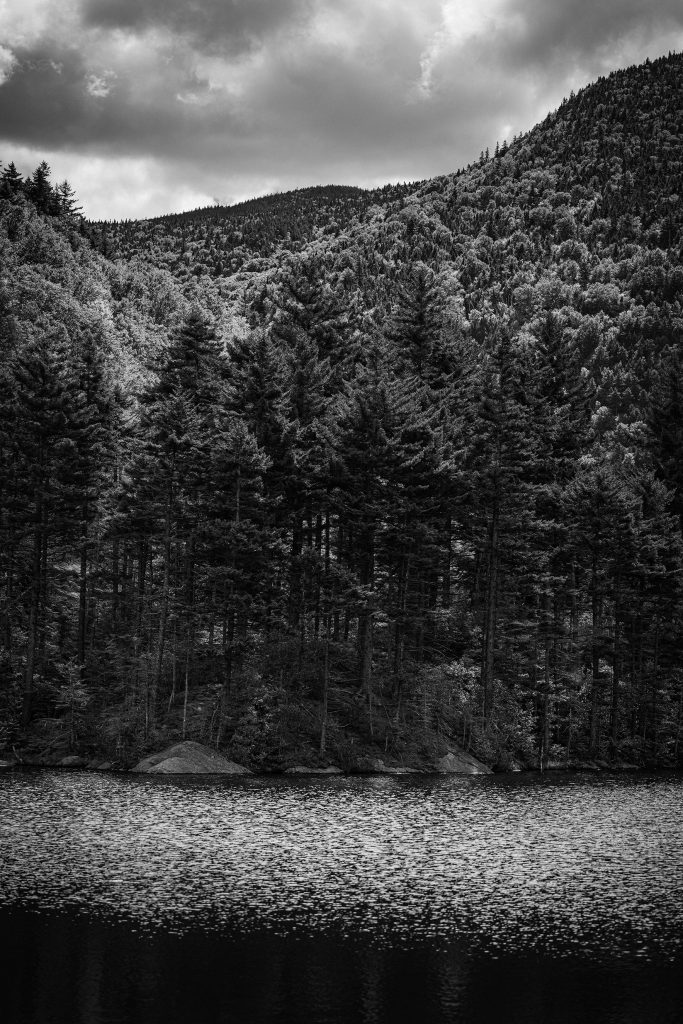 G1020614-sw
