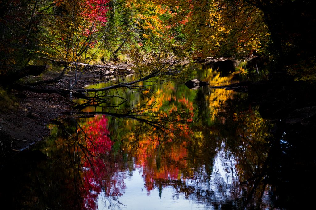 Autumn stillness